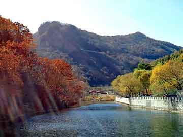 澳门天天好好免费资料，日本山田气动隔膜泵